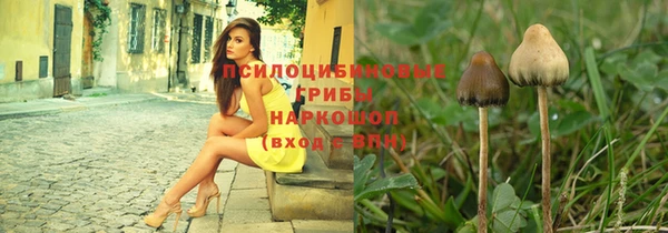 спиды Алзамай